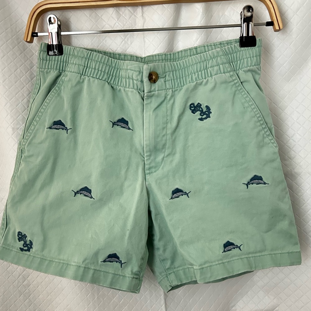 Polo by Ralph Lauren Mint Green Shorts with Embroidery